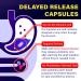 FOLONA Delayed Release Akkermansia GLP-1 Probiotic with Berberine and Soluble Beta-Glucan Prebiotic Fiber 3 Billion AFU, 60 Capsules (2 Months Supply) for Gut Health Support - Buy Online on GoSupps.com