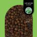 Allspice Berries whole (250g 8.8oz) myrtle pepper allspice grains 100% natural without additives vegan allspice seeds Jamaican piment pepper 250 GR - Buy Online on GoSupps.com
