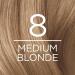 L'Oreal Paris Excellence Creme 8 Medium Blonde Hair Color - Pack of 2 - 100% Gray Coverage & Permanent Dye - Buy Online on GoSupps.com