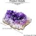 Jovivi Amethyst Clusters 0.18 lb-0.33 lb Natural Raw Geode Healing Crystals | Witchcraft Gemstone Specimen 80-150g - Buy Online on GoSupps.com