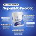 Layer Origin SuperHMO Prebiotic Mix with 5-HMO Prebiotic Fiber for Gut, Digestion, Brain Health - Powder, 28 Servings - Buy Online on GoSupps.com