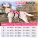 Rabbitgoo Breaking-Safe Dog Harness for Medium Dogs - Adjustable Breathable Padded Vest with Handle - Ideal for Training & Safety - Pink - Buy Online on GoSupps.com