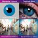 Glamlens Cagliari Blue Colored Contact Lenses - Monthly Soft Hydrogel - -50 to -5 Diopters - 2 Pieces + Lens Case - Buy Online on GoSupps.com
