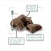 Versele-Laga Ferret Food Complete 10 KG - Buy Online on GoSupps.com