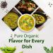 The Coconut Company Organic Mixed Curry Sause - Green Red and Yellow Curry Sauce for pouring over vegetables noodles or your favourite dish 400ml (Pack of 3) - Buy Online on GoSupps.com