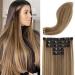 REECHO Clip in Hair Extensions Hair Extensions Thick Long Lace Weft Lightweight Synthetic Hairpieces for Women (24 Inch-240 Gram(Pack of 5) Chocolate Brown with Golden Blonde Highlights) 24 Inch-240 Gram(Pack of 5) Cho...