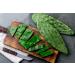 3 kg of fresh scoops for cooking edible nopal O ficus - Buy Online on GoSupps.com