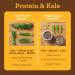 Buy Amazing Grass Vegan Protein & Kale Powder â€“ 20g Organic Protein + 1 Cup Greens, Chocolate Flavor, 15 Servings - Buy Online on GoSupps.com