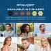 Intelligent Precision Hair-Volumizing Fibers for Thinning Hair - Light Blonde | 6 Shades for Men & Women | 27.5g - International Shipping Available - Buy Online on GoSupps.com