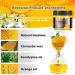 CARGEN 3 PCS Wood Seasoning Beewax - Natural Traditional Beeswax Furniture Polish Kit - Buy Online on GoSupps.com