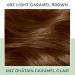 Clairol Natural Instincts 6BZ Light Caramel Brown Demi-Permanent Hair Dye - 5.85 Fl Oz - Buy Online on GoSupps.com