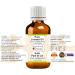 Greenwood Essential Natural Linseed Oil (Linum Usitatissimum) - Pure Therapeutic Quality Cold-Pressed - Pack of 3 x 100ml (10 oz) - International Shipping Available - Buy Online on GoSupps.com