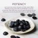 Gaia Herbs Black Elderberry Gummies | Extra Strength Immune Support | 80 Vegan Gummies - Buy Online on GoSupps.com