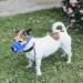 Buy Yaodhaod Blue Dog Muzzle - Breathable Nylon-Mesh Adjustable Comfortable for Chewing & Barking | International Shipping - Buy Online on GoSupps.com