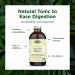 Flora Swedish Bitters - Vegan Digestive Health Supplement - Maria's Original Formula - Includes Angelica Root Valerian Root Myrrh Resin & More - Non-GMO & Kosher - 8.5 fl. oz Glass Bottle 8.5 Fl Oz (Pack of 1) - Buy Online on GoSupps.com
