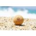 Harmony Ball Cork Massage Ball | Eco-friendly Self-Massage Tool | 100% Natural | Made in EU | Shop Internationally - Buy Online on GoSupps.com