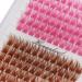 Colorful Cluster Lashes Extensions | Mixed Brown/Rose Red Individual False Eyelashes | 144 Clusters | Volume Eyelash Beauty Tools (12mm) - Shop Internationally - Buy Online on GoSupps.com