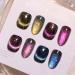 BORN PRETTY 9D Cat Magnetic Eye Gel Nail Polish Reflective Glitter Holographic Magnetic Gel Polish 4PCS Manicure and Nail Art DIY at Home 9D Reflective