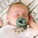 Ryan & Rose Cutie PAT Pacifier Teether - Bulb Ivy - Buy Online on GoSupps.com