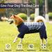 Heywean Long-Sleeved Dog Recovery Suit | Post-Op Zipper Bodysuit for Dogs | Comfortable Relaxation Outfit After Surgery | XS Blue Checkered - Buy Online on GoSupps.com