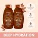 Aveeno Almond Oil Blend Sulfate-Free Shampoo with Avocado Oil - Intense Hydration for Thick, Curly, Frizzy, or Coarse Hair - 12 Fl Oz - Buy Online on GoSupps.com