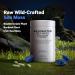 Codeage Wildcrafted Sea Moss Supplement - Irish Sea Moss Bladderwrack Spirulina Superfood Supports Nutrient Intakes With Black Pepper Fruit - 2-month Supply - Non-GMO Gluten-Free - 120 Capsules - Buy Online on GoSupps.com