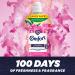 Comfort Creation Concentrated Fabric Conditioner with 100 Days of Long-Lasting Fragrance and Softness Intense Liquid Fabric Softener 55 Washes 1.65L (Honeysuckle & Sandalwood Buy 2) - Buy Online on GoSupps.com