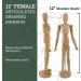 US Art Supply 12 Female Drawing Manikin with Flexible Body and Base - Ideal for Human Figure Sketching - Buy Online on GoSupps.com