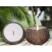 Jasmine Scented Coconut Bowl Candle | 14oz Premium Soy | Eco-Friendly Aromatherapy & Home D cor | Wood Wicked Natural Coconut Shell Candle - Buy Online on GoSupps.com