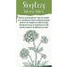 SleepEezy Valerian Root Tablets - Vegan Relief for Sleep Disturbances - 60 Tablets - Buy Online on GoSupps.com