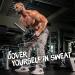 Yes4All Seated Row Double D Handle Cable Attachment  Double D Grip / Double Row Handle for Cable Attachment (Chrome) A. Double Row Chrome - Buy Online on GoSupps.com