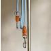 Buy Leitengr n Adjustable Dog Leash for Big Dogs | 3M Long with 2 Carabiners | Lightweight Devon Model in Light Blue Lagoon | Perfect for International Shipping - Buy Online on GoSupps.com
