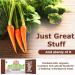 Betty Lou's Just Great Stuff Organic Protein Bars | Antioxidant Rich Energy Bars | Gluten Free Vegan Non GMO | Chocolate Dream Greens (12 Pack) - Buy Online on GoSupps.com
