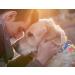 Poof Pet Calorie & Activity Tracker - Coral (7 Grams) | Track Your Pet's Health and Fitness - Buy Online on GoSupps.com