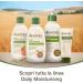 EASO MANO Aveeno Yogurt shower shower gel daily moisturizing with scent of vanilla and oats without soap for normal dry skin including sensitive skin 300 ml Vanilla 1 unit Confezione da 1 - Buy Online on GoSupps.com