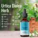 HERBAMAMA Organic Stinging Nettle Root Tincture - Urtica Dioica Herbal Drops - 2 fl oz Liquid Extract - Natural Supplement - Buy Online on GoSupps.com