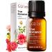 Gya Labs True Romance Essential Oil Blend - Sweet & Floral Scent (0.34 Fl Oz)