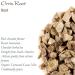 Orris Root Iris Root - Dried Herbal Tea Orris Root Dried Orris Root Herb Orris Root Tea Iris Root Tea Orri Root Oris Root Dried Roots 50g - Buy Online on GoSupps.com