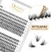 QueWel Cluster Lashes - 240 Pieces of 0.07D Curl DIY Eyelash Extensions (8-14mm Mix) for Natural Look - Single Cluster Eyelashes - Buy Online on GoSupps.com