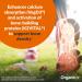 Organixx D3 K2 Supplement Supports Bone and Immune Health Bioavailable and Easy Absorption Formula with MCT Oil for Overall Wellness Clean Nutrient Blend Non GMO 15 ML 30 Servings - Buy Online on GoSupps.com