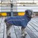 Cyeollo Reflective Zip-Up Dog Jacket Coat Fleece Sweater for Small Dogs in Blue - M Chest Size (16) - Buy Online on GoSupps.com