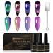 Shining She Cat Eye Gel Nail Polish 4 Colours Magnetic Gel Nail Polish with Magnet Soak-Off UV/LED Chameleon Holographic Cat Eye Gel Polish for Nail Art Salon DIY Home 8ML Cat Eyes