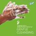 Scott Green Certified Foam Hand Soap (91591) 1.2 L Clear Unscented Hand Soap Refills for KC Professional ICON and Scott Pro Automatic Dispensers Ecologo NSF E-1 Rated (2 Bottles/Case) Automatic Cassette - Buy Online on GoSupps.com