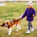 Short Dog Leash with Padded Handle | Reflective Nylon for All Dog Sizes | 32cm Training Leash - Buy Online on GoSupps.com