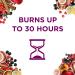 Glade Scented Candle - Merry Berry & Bright | Aromatherapy Wax Candle 30 Hour Burn Time 129g | Pack of 6 - International Shipping - Buy Online on GoSupps.com