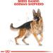 Royal Canin German Shepherd 24 Dry Mix 3 kg - Buy Online on GoSupps.com