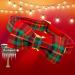 Lionheart Glory Christmas Checkered Dog Collar & Shoes - Adjustable Bowtie Collar for Small Dogs - Red-Green Checkered | Comfortable Fall Loop (1 Pack) - Buy Online on GoSupps.com
