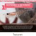 Herbsmith Pure Krill - Antarctic Krill for Dogs - Rich in Astaxanthin - Omega 3 Supplement 75g - Buy Online on GoSupps.com
