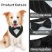 Buy Maustlie Dogs Smoking Bandana - Adjustable Triangle Scarf for Weddings & Parties | Stylish Black Stripe Pet Accessory - Buy Online on GoSupps.com