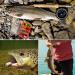 Fly Fishing Flies Kit with Box - 120Pcs/64Pcs for Bass, Salmon, Trout - Dry, Wet, Nymphs, Streamers - Buy Online on GoSupps.com